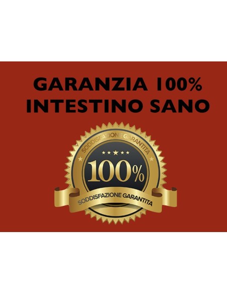 Programma Detox Intestino
